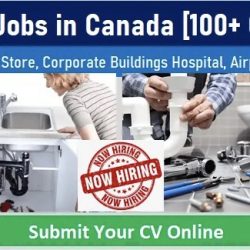 Plumber Jobs in Canada with Salary | Toronto, Vancouver, Ottawa